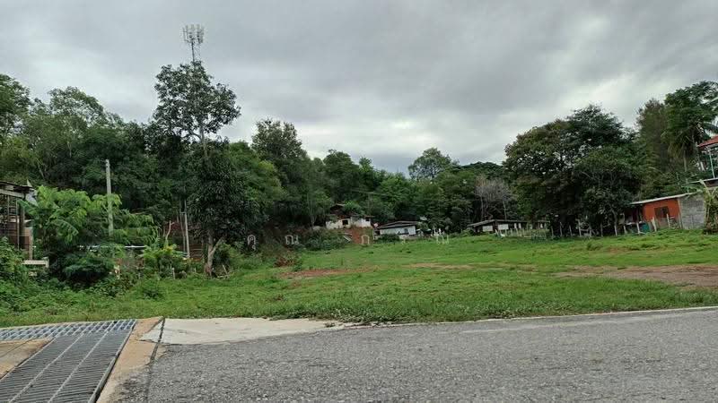 ที่ดินปากช่องโฉนดครุฑแดง น้ำไม่ท่วม ราคาดีมาก, nakhon-ratchasima, มิตรภาพ, Pak Chong, Nakhon Ratchasima, , 3,768 sqm, Land For Sale, by Mr Gon, 500599278 - DDproperty.com