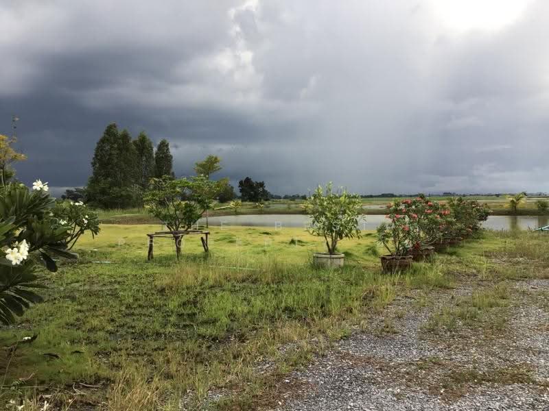 ที่ดินบางปลาม้า สุพรรณบุรี, suphan-buri, Khok Khram, Bang Pla Ma, Suphan Buri, , 6,400 sqm, Land For Sale, by The Best Property นุ้ย, 500599340 - DDproperty.com