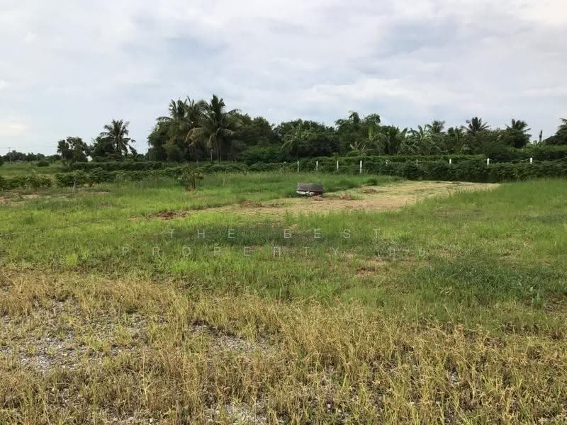 ที่ดินบางปลาม้า สุพรรณบุรี, suphan-buri, Khok Khram, Bang Pla Ma, Suphan Buri, , 6,400 sqm, Land For Sale, by The Best Property นุ้ย, 500599340 - DDproperty.com