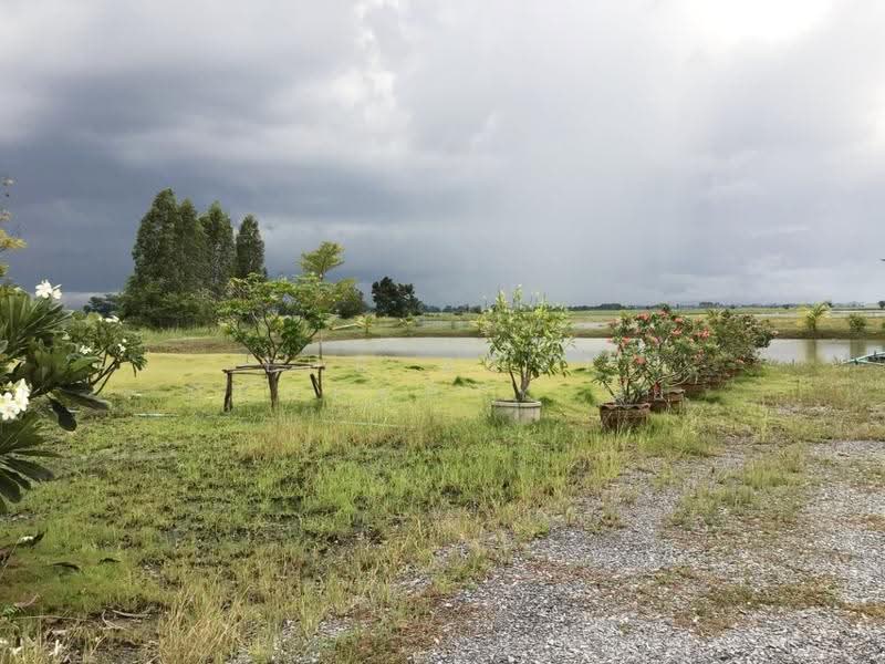 ที่ดินบางปลาม้า สุพรรณบุรี, suphan-buri, Khok Khram, Bang Pla Ma, Suphan Buri, , 6,400 sqm, Land For Sale, by The Best Property นุ้ย, 500599340 - DDproperty.com