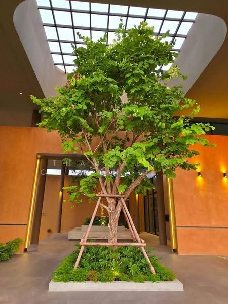undefined, chon-buri, Ta Khian Tia, Bang Lamung (Pattaya), Chon Buri (Pattaya), 3 Bedrooms, 240 sqm, Single Detached House For Sale, by Thanyalag Chanchodtanakul, 500599351 - DDproperty.com
