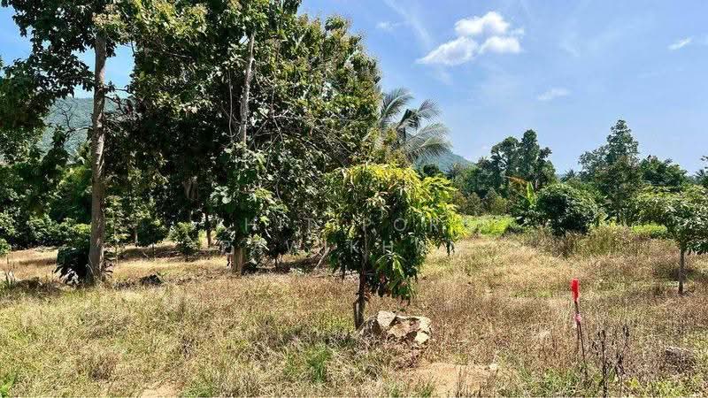 Studio House, surat-thani, Maret, Ko Samui, Surat Thani, Studio, 47 sqm, Single Detached House For Sale, by Thitiporn Pawikham, 500599514 - DDproperty.com