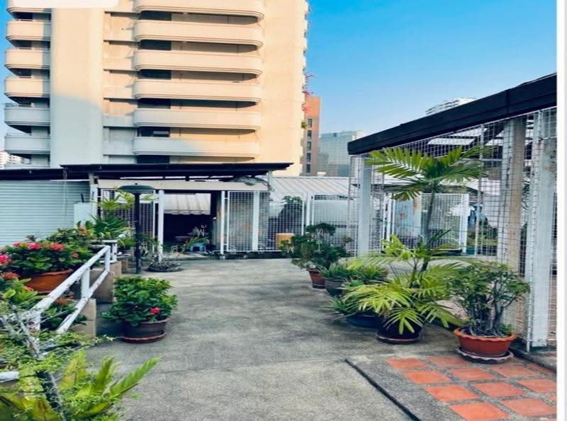 6-storey building with land, area of 269 square wa, Sukhumvit 15 (Soi Ruamjai), near BTS Asoke, Bangkok, สุขุมวิท, Khlongtoei Nua, Watthana, Bangkok, , 1,076 sqm, Shophouse For Sale, by พัชรินทร์ พิศาลไพโรจน์, 500599679 - DDproperty.com