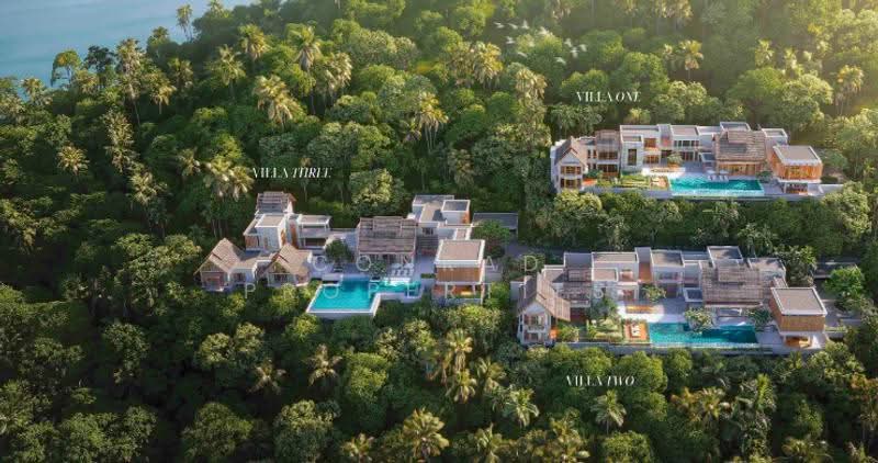 Four Seasons 4 Bed Luxury Villas for Sale in Koh Samui, Surat Thani, Ang Thong, Ko Samui, Surat Thani, 4 Bedrooms, 2,994 sqm, Villa For Sale, by Conrad Properties, 500599696 - DDproperty.com