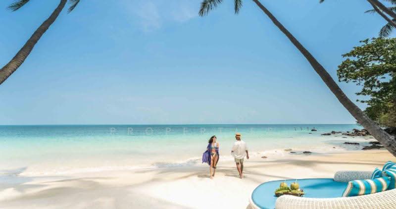 Four Seasons 4 Bed Luxury Villas for Sale in Koh Samui, สุราษฎร์ธานี, อ่างทอง, เกาะสมุย, สุราษฎร์ธานี, 2,994 ตร.ม., วิลล่า ขาย, โดย Conrad Properties, 500599696 - DDproperty.com