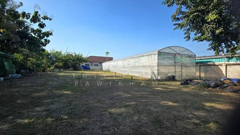 3-BR House, chon-buri, Na Kloe, Bang Lamung (Pattaya), Chon Buri (Pattaya), 3 Bedrooms, 150 sqm, Single Detached House For Sale, by Thitiporn Pawikham, 500599759 - DDproperty.com