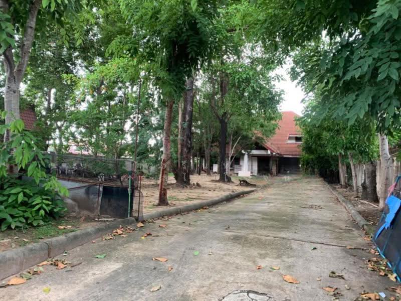 บ้านเดี่ยว 2 ชั้น พร้อมที่ดิน 387 ตารางวา ซอยวิภาวดีรังสิต 41, กรุงเทพ, สนามบิน, ดอนเมือง, กรุงเทพ, 350 ตร.ม., บ้านเดี่ยว ขาย, โดย พัชรินทร์ พิศาลไพโรจน์, 500599836 - DDproperty.com