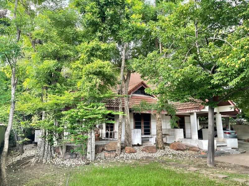 บ้านเดี่ยว 2 ชั้น พร้อมที่ดิน 387 ตารางวา ซอยวิภาวดีรังสิต 41, กรุงเทพ, สนามบิน, ดอนเมือง, กรุงเทพ, 350 ตร.ม., บ้านเดี่ยว ขาย, โดย พัชรินทร์ พิศาลไพโรจน์, 500599836 - DDproperty.com