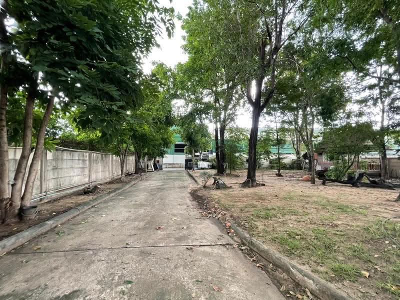 2-storey detached house with land 387 square wa, Soi Vibhavadi Rangsit 41, bangkok, Sanam Bin, Don Mueang, Bangkok, 6 Bedrooms, 350 sqm, Single Detached House For Sale, by พัชรินทร์ พิศาลไพโรจน์, 500599836 - DDproperty.com