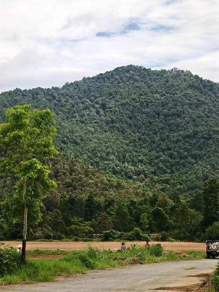 262 Rai Land for Sale in Doi Saket Chiang Mai | Mountain View Investment, Chiang Mai, Mae Pong, Doi Saket, Chiang Mai, , 419,452 sqm, Land For Sale, by Fazwaz (Thailand) Co., Ltd., 500599849 - DDproperty.com