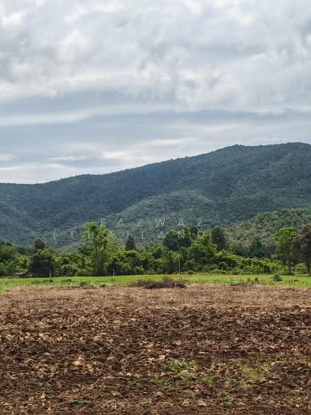 262 Rai Land for Sale in Doi Saket Chiang Mai | Mountain View Investment, Chiang Mai, Mae Pong, Doi Saket, Chiang Mai, , 419,452 sqm, Land For Sale, by Fazwaz (Thailand) Co., Ltd., 500599849 - DDproperty.com