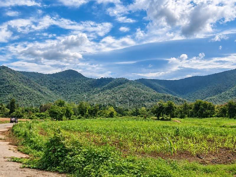 262 Rai Land for Sale in Doi Saket Chiang Mai | Mountain View Investment, Chiang Mai, Mae Pong, Doi Saket, Chiang Mai, , 419,452 sqm, Land For Sale, by Fazwaz (Thailand) Co., Ltd., 500599849 - DDproperty.com