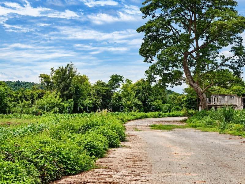 262 Rai Land for Sale in Doi Saket Chiang Mai | Mountain View Investment, Chiang Mai, Mae Pong, Doi Saket, Chiang Mai, , 419,452 sqm, Land For Sale, by Fazwaz (Thailand) Co., Ltd., 500599849 - DDproperty.com