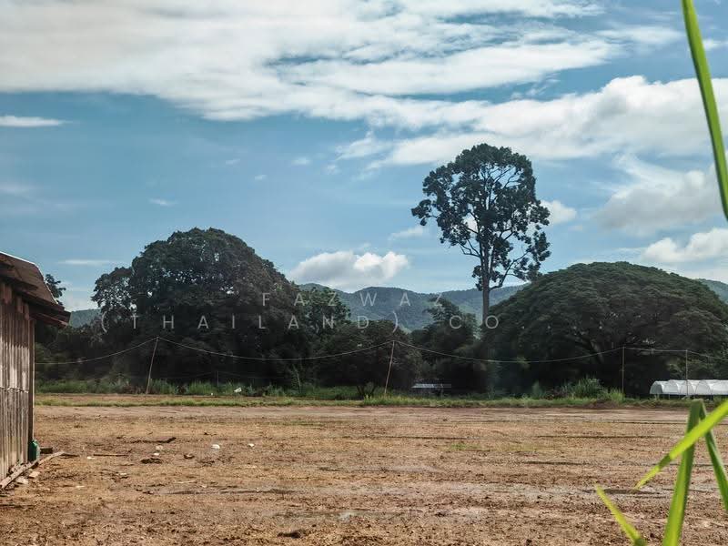146 Rai Land San Sai Chiang Mai | 243 Plots, Mountain View Investment, Chiang Mai, Nong Harn, San Sai, Chiang Mai, , 234,200 sqm, Land For Sale, by Fazwaz (Thailand) Co., Ltd., 500600089 - DDproperty.com