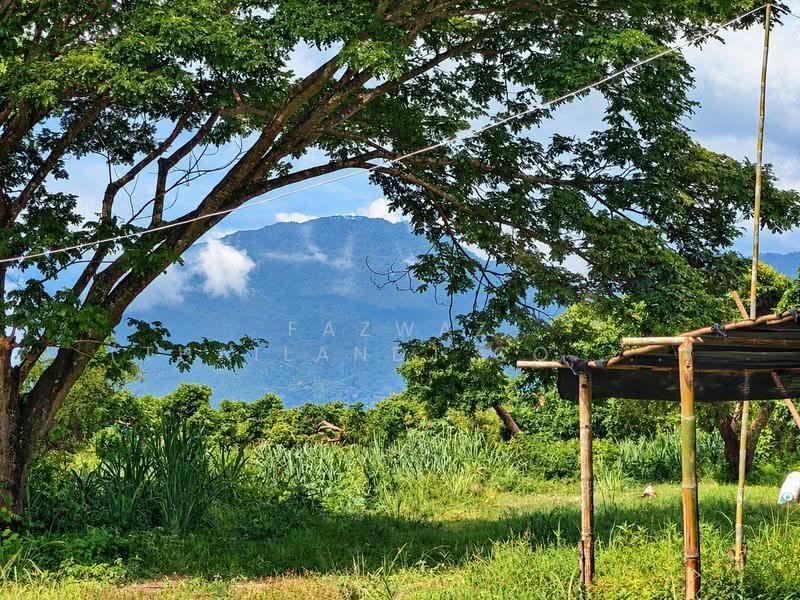 146 Rai Land San Sai Chiang Mai | 243 Plots, Mountain View Investment, Chiang Mai, Nong Harn, San Sai, Chiang Mai, , 234,200 sqm, Land For Sale, by Fazwaz (Thailand) Co., Ltd., 500600089 - DDproperty.com
