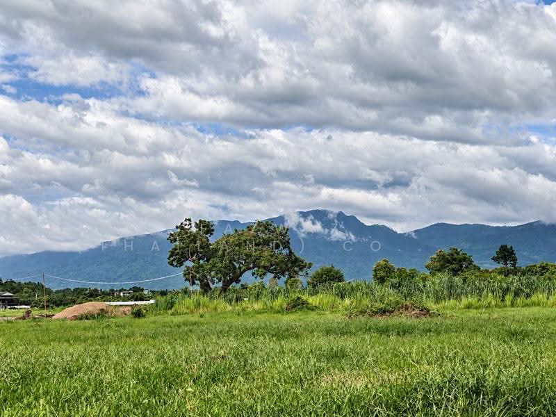 146 Rai Land San Sai Chiang Mai | 243 Plots, Mountain View Investment, Chiang Mai, Nong Harn, San Sai, Chiang Mai, , 234,200 sqm, Land For Sale, by Fazwaz (Thailand) Co., Ltd., 500600089 - DDproperty.com