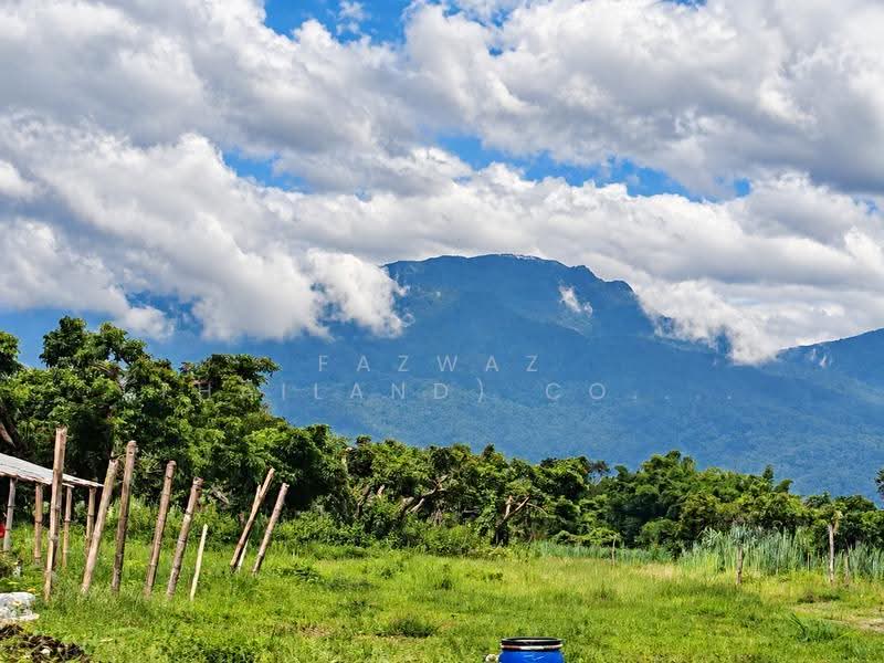 146 Rai Land San Sai Chiang Mai | 243 Plots, Mountain View Investment, Chiang Mai, Nong Harn, San Sai, Chiang Mai, , 234,200 sqm, Land For Sale, by Fazwaz (Thailand) Co., Ltd., 500600089 - DDproperty.com