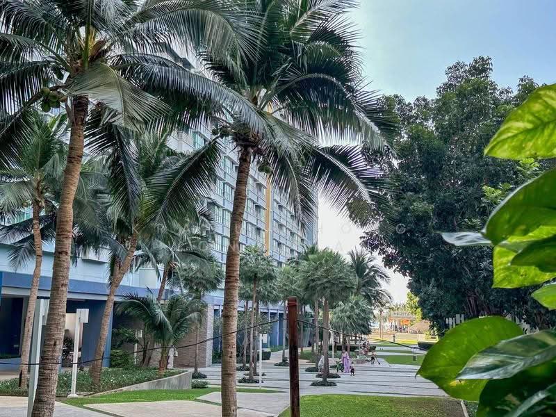 Lumpini Park Beach Jomtien, chon-buri, Jomtiensaineung Rd, Na Kloe, Bang Lamung (Pattaya), Chon Buri (Pattaya), 1 Bedroom, 28 sqm, Condo For Rent, by Kradumthong Wongchan, 500600138 - DDproperty.com