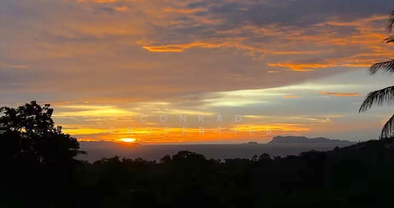 Luxury 3-5 Bed Sunset Sea View Villa in Ban Makham, Surat Thani, Ang Thong, Ko Samui, Surat Thani, 5 Bedrooms, 500 sqm, Villa For Sale, by Conrad Properties, 500600209 - DDproperty.com