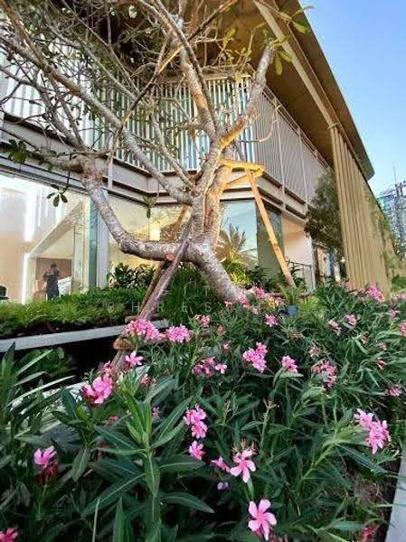 Glory Condominium : กลอรี่ คอนโดมิเนียม, เชียงใหม่, 93 ถ.ช้างเผือก, ศรีภูมิ, เมืองเชียงใหม่, เชียงใหม่, 66 ตร.ม., คอนโด ขาย, โดย Sita Shrestha, 500600280 - DDproperty.com