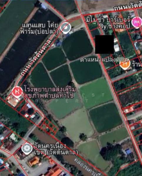 ที่ดินท่าไข่ ฉะเชิงเทรา, Chachoengsao, Tha Khai, Muang Chachoengsao, Chachoengsao, , 556 sqm, Land For Sale, by The Best Property ซายน์, 500600312 - DDproperty.com