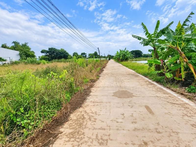 ที่ดินท่าไข่ ฉะเชิงเทรา, Chachoengsao, Tha Khai, Muang Chachoengsao, Chachoengsao, , 556 sqm, Land For Sale, by The Best Property ซายน์, 500600312 - DDproperty.com