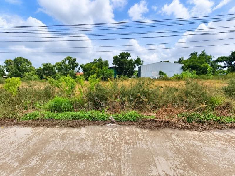 ที่ดินท่าไข่ ฉะเชิงเทรา, Chachoengsao, Tha Khai, Muang Chachoengsao, Chachoengsao, , 556 sqm, Land For Sale, by The Best Property ซายน์, 500600312 - DDproperty.com