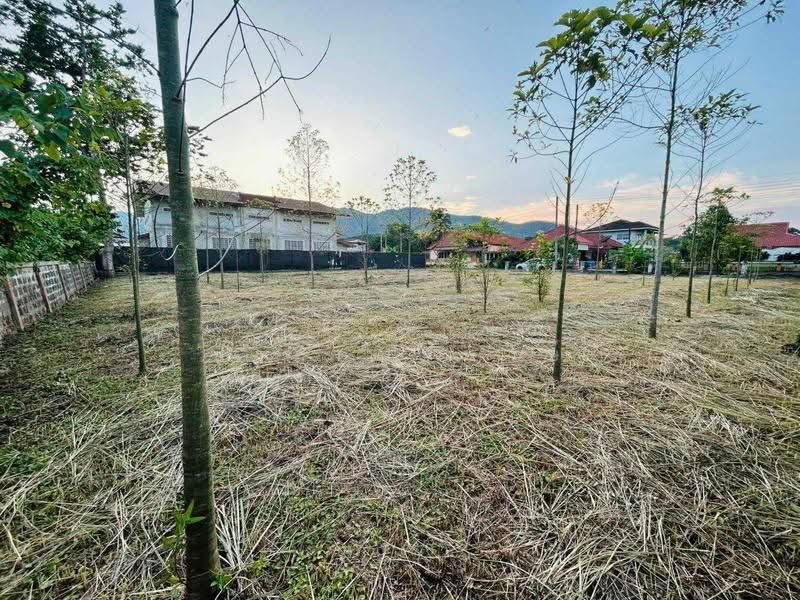 บ้านระเบียงชมฟ้า, เชียงราย, ท่าสุด, เมืองเชียงราย, เชียงราย, 558 ตร.ม., ที่ดิน ขาย, โดย กฤษยลักษณ์ ประดิษฐพงษ์, 500600371 - DDproperty.com