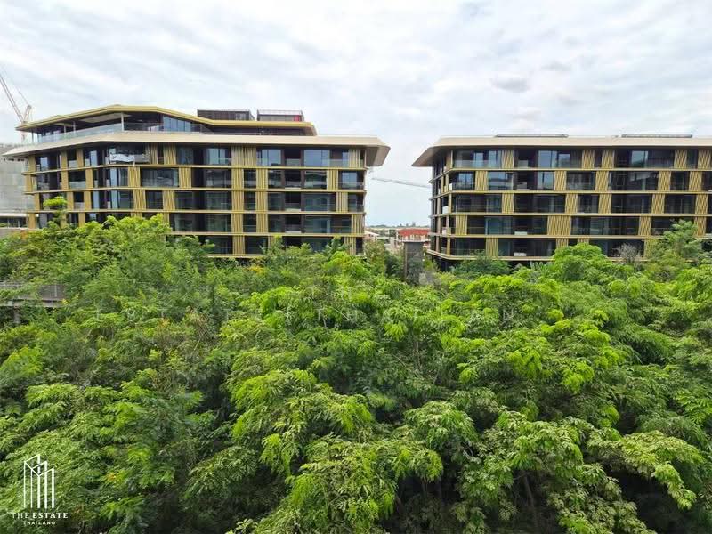 Mulberry Grove The Forestias Condo, Samut Prakan, Bangna-Trat Road, Bang Kaeo, Bang Plee, Samut Prakan, 3 Bedrooms, 149 sqm, Condo For Rent, by The Estate(Thailand) Limited, 500600536 - DDproperty.com
