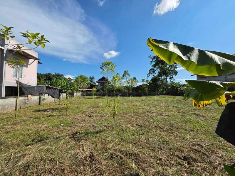 บ้านระเบียงชมฟ้า, Chiang Rai, Tha Sud, Muang Chiang Rai, Chiang Rai, , 510 sqm, Land For Sale, by กฤษยลักษณ์ ประดิษฐพงษ์, 500600554 - DDproperty.com