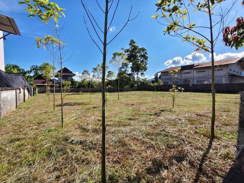 บ้านระเบียงชมฟ้า, เชียงราย, ท่าสุด, เมืองเชียงราย, เชียงราย, 510 ตร.ม., ที่ดิน ขาย, โดย กฤษยลักษณ์ ประดิษฐพงษ์, 500600554 - DDproperty.com