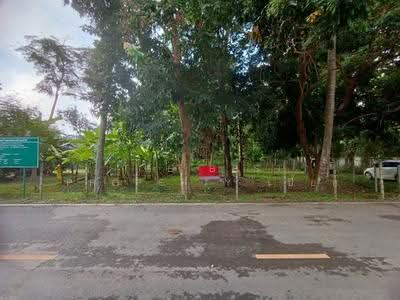 ขาย - ที่ดินสันทราย เชียงใหม่, เชียงใหม่