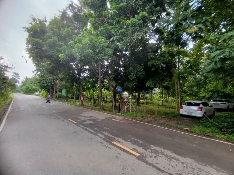 ที่ดินสันทราย เชียงใหม่, Chiang Mai, Pa Phai, San Sai, Chiang Mai, , 6,620 sqm, Land For Sale, by The Best Property เปี๊ยก, 500600646 - DDproperty.com