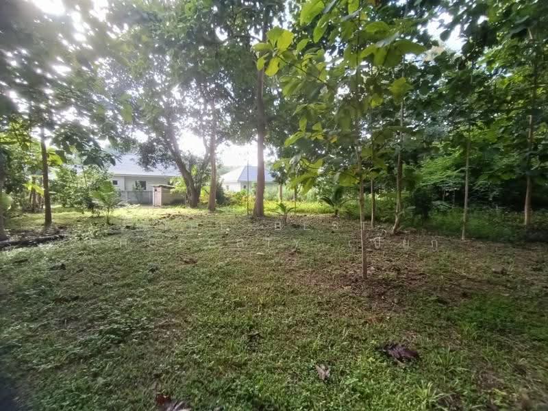 ที่ดินสันทราย เชียงใหม่, Chiang Mai, Pa Phai, San Sai, Chiang Mai, , 6,620 sqm, Land For Sale, by The Best Property เปี๊ยก, 500600646 - DDproperty.com