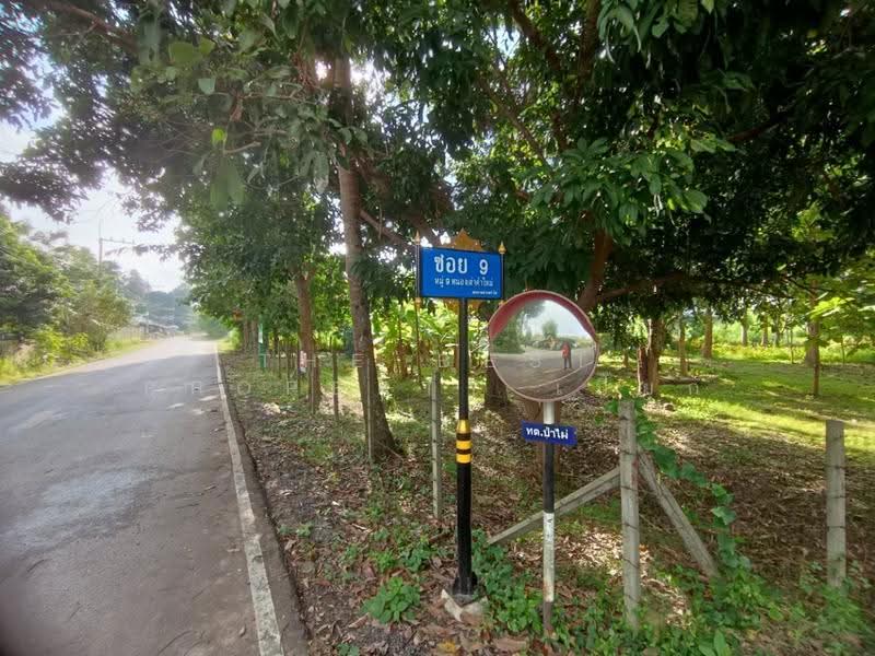 ที่ดินสันทราย เชียงใหม่, Chiang Mai, Pa Phai, San Sai, Chiang Mai, , 6,620 sqm, Land For Sale, by The Best Property เปี๊ยก, 500600646 - DDproperty.com