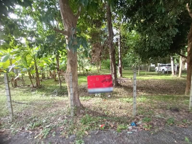 ที่ดินสันทราย เชียงใหม่, Chiang Mai, Pa Phai, San Sai, Chiang Mai, , 6,620 sqm, Land For Sale, by The Best Property เปี๊ยก, 500600646 - DDproperty.com
