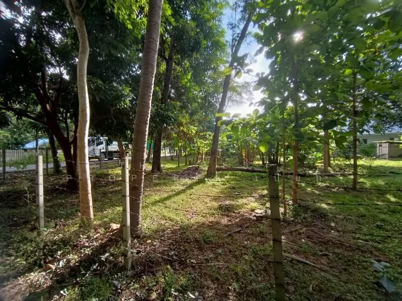 ที่ดินสันทราย เชียงใหม่, Chiang Mai, Pa Phai, San Sai, Chiang Mai, , 6,620 sqm, Land For Sale, by The Best Property เปี๊ยก, 500600646 - DDproperty.com