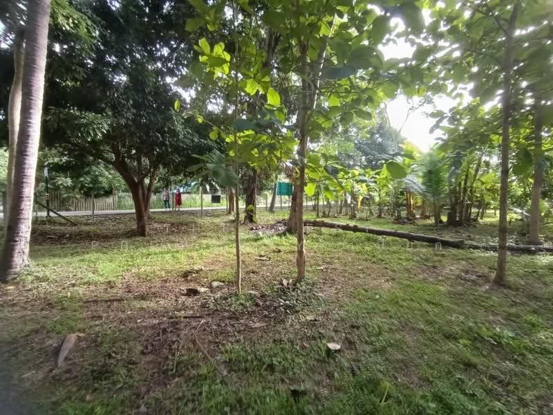 ที่ดินสันทราย เชียงใหม่, Chiang Mai, Pa Phai, San Sai, Chiang Mai, , 6,620 sqm, Land For Sale, by The Best Property เปี๊ยก, 500600646 - DDproperty.com