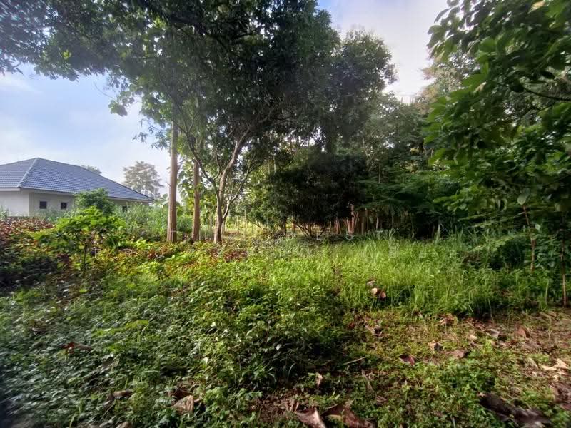ที่ดินสันทราย เชียงใหม่, Chiang Mai, Pa Phai, San Sai, Chiang Mai, , 6,620 sqm, Land For Sale, by The Best Property เปี๊ยก, 500600646 - DDproperty.com