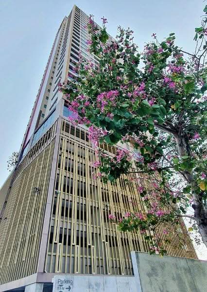 Infinity One Condominium : อินฟินิตี้ วัน คอนโดมิเนียม, ชลบุรี, ถนนสุขุมวิท, เสม็ด, เมืองชลบุรี, ชลบุรี, 69 ตร.ม., คอนโด ให้เช่า, โดย Jirapat Chuangsawadsak, 500600964 - DDproperty.com