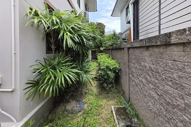 Passorn Chaengwattana-Chaiyaphruek : ภัสสร แจ้งวัฒนะ-ชัยพฤกษ์, นนทบุรี, บางตะไนย์, ปากเกร็ด, นนทบุรี, 160 ตร.ม., บ้านเดี่ยว ขาย, โดย NTBHOME, 500601032 - DDproperty.com