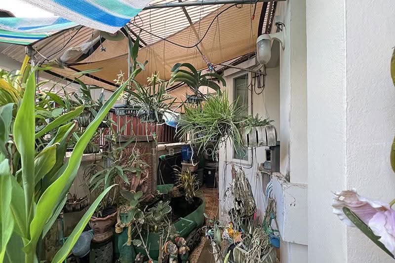 ศิลปการพาร์ค 3 (บ้านกล้วย-ไทรน้อย), นนทบุรี, พิมลราช, บางบัวทอง, นนทบุรี, 160 ตร.ม., บ้านเดี่ยว ขาย, โดย NTBHOME, 500601105 - DDproperty.com