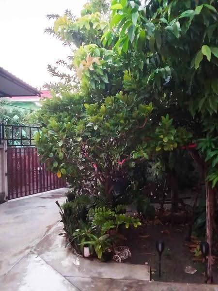 2-BR House, chon-buri, Bang Sai, Muang Chon Buri, Chon Buri (Pattaya), 2 Bedrooms, 66 sqm, Single Detached House For Sale, by Vikrant Kokar, 500601190 - DDproperty.com
