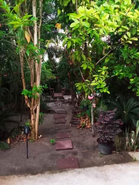 2-BR House, chon-buri, Bang Sai, Muang Chon Buri, Chon Buri (Pattaya), 2 Bedrooms, 66 sqm, Single Detached House For Sale, by Vikrant Kokar, 500601190 - DDproperty.com