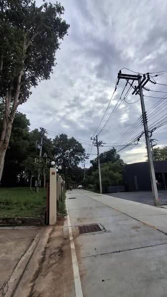 ให้เช่าที่ดินสวย บางพระ ศรีราชา ติดเขา บรรยากาศร่มรื่น, ชลบุรี, บางพระ, ศรีราชา, ชลบุรี, 800 ตร.ม., ที่ดิน ให้เช่า, โดย A House Property Co.,Ltd., 500601210 - DDproperty.com
