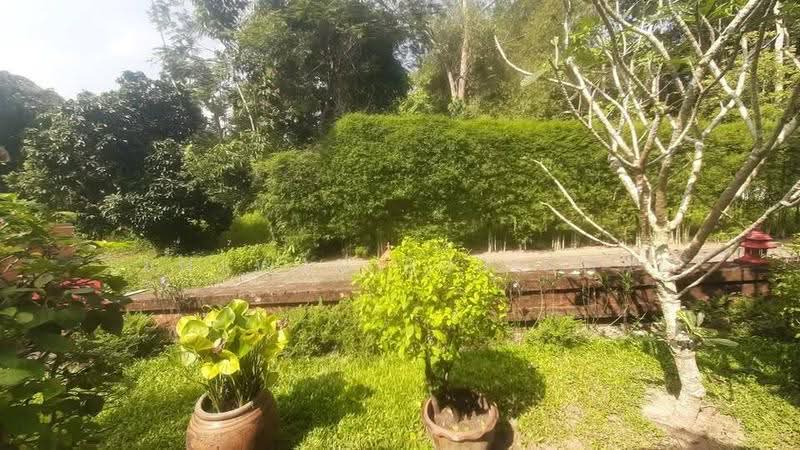5-BR House, surat-thani, Nha Mueng, Ko Samui, Surat Thani, 5 Bedrooms, 1,700 sqm, Single Detached House For Sale, by Tanawan Surichai, 500601261 - DDproperty.com