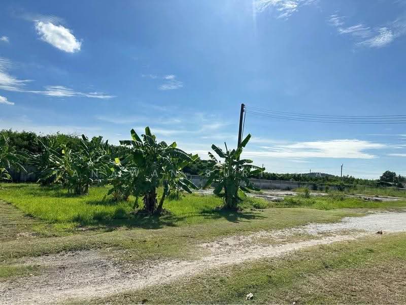 Studio House, chon-buri, Ang Sila, Muang Chon Buri, Chon Buri (Pattaya), Studio, 47 sqm, Single Detached House For Sale, by Tanawan Surichai, 500601301 - DDproperty.com