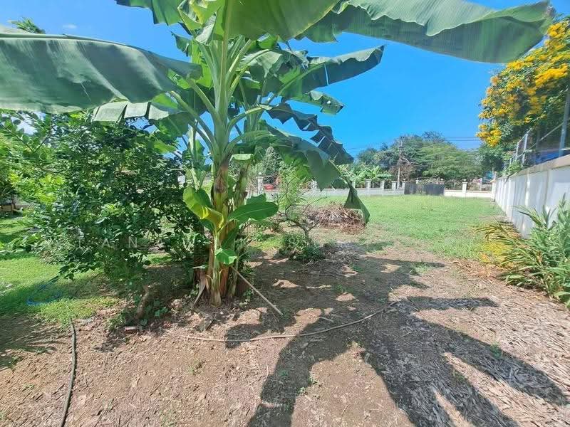 4-BR House, chon-buri, Bang Sa-re, Sattahip, Chon Buri (Pattaya), 4 Bedrooms, 382 sqm, Single Detached House For Sale, by Tanawan Surichai, 500601360 - DDproperty.com