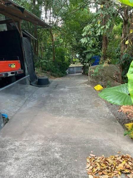 2-BR House, surat-thani, Ko Phangan, Surat Thani, 2 Bedrooms, 66 sqm, Single Detached House For Sale, by Boonyanuch Unna, 500601405 - DDproperty.com