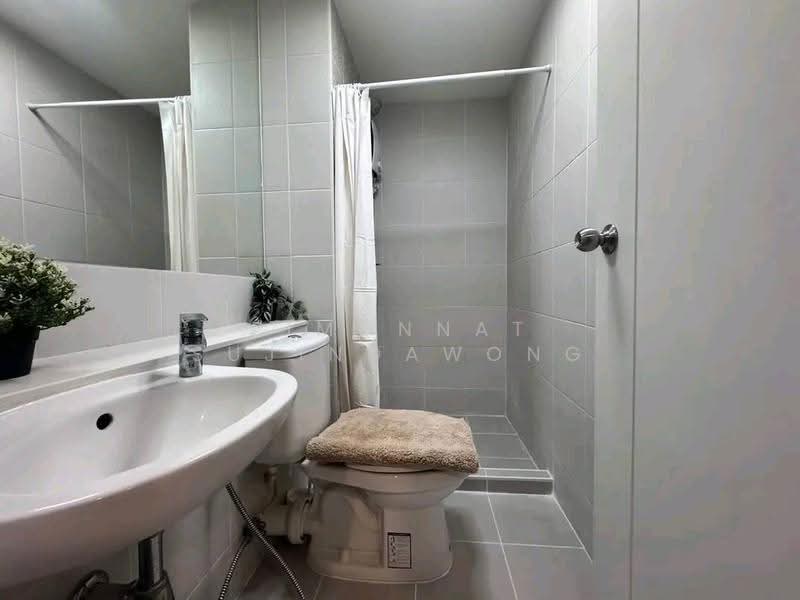 The Tree Onnut Station, bangkok, 54 Sukhumvit Road, Bang Chak, Phra Khanong, Bangkok, 1 Bedroom, 40 sqm, Condo For Rent, by Pimonnat Sujindawong, 500601476 - DDproperty.com